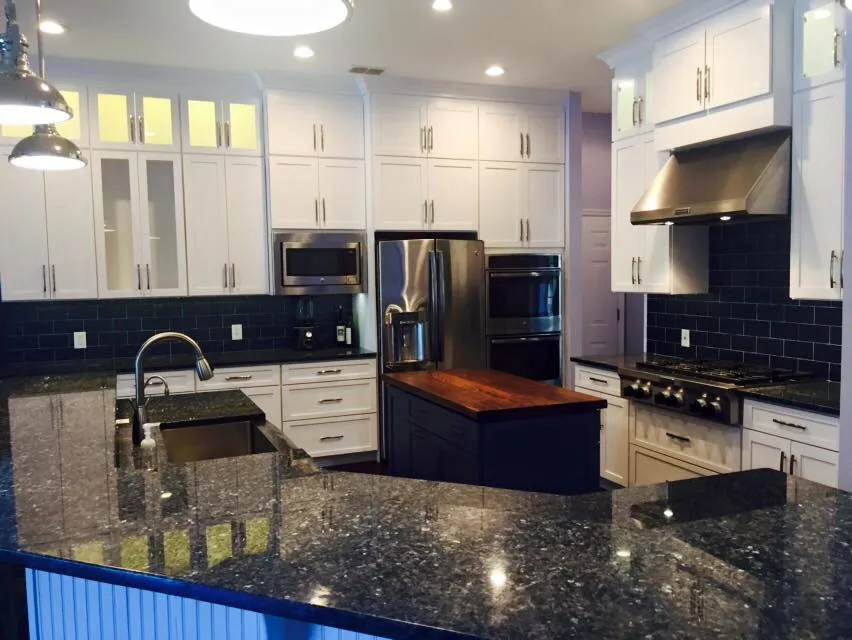 Comprehensive Kitchen Renovation by Premier Home Remodeling - Photo 5