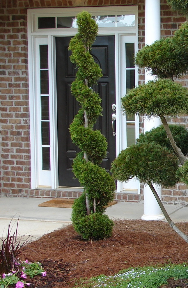 The Joy of Plants! by Allin Landscaping - Photo 5