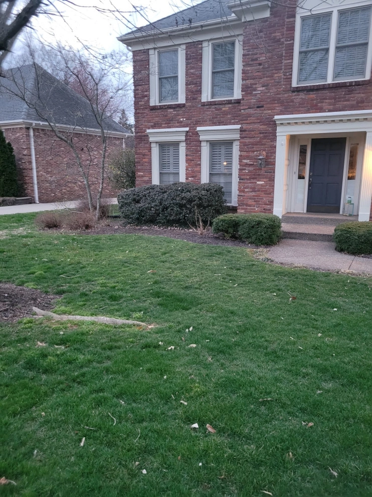 Alberto Alavez Professional Lawn Services LLC by Alberto Alavez Professional Lawn Services LLC - Photo 21