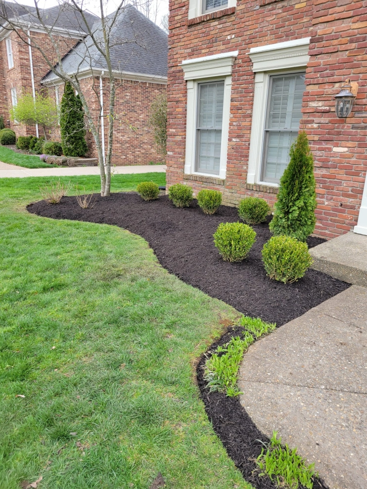 Alberto Alavez Professional Lawn Services LLC by Alberto Alavez Professional Lawn Services LLC - Photo 24