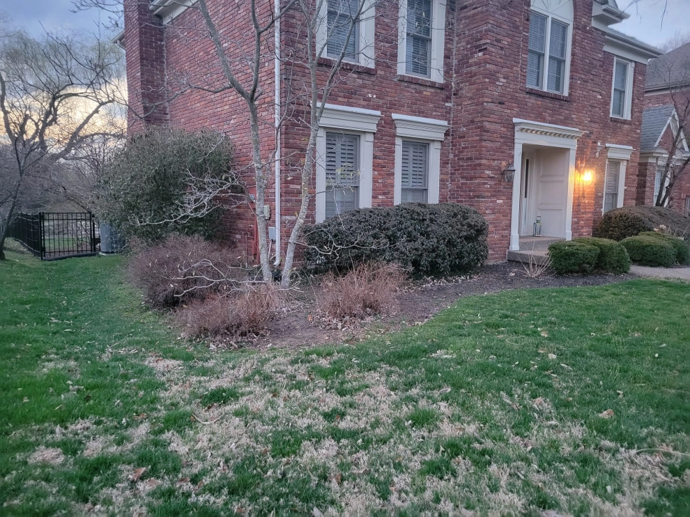 Alberto Alavez Professional Lawn Services LLC by Alberto Alavez Professional Lawn Services LLC - Photo 25