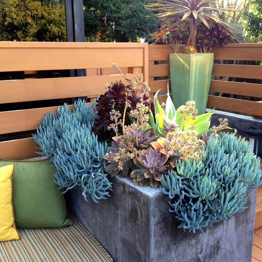 JDS INSTAGRAM (SET 02) by Jds Outdoor Designs - Photo 52