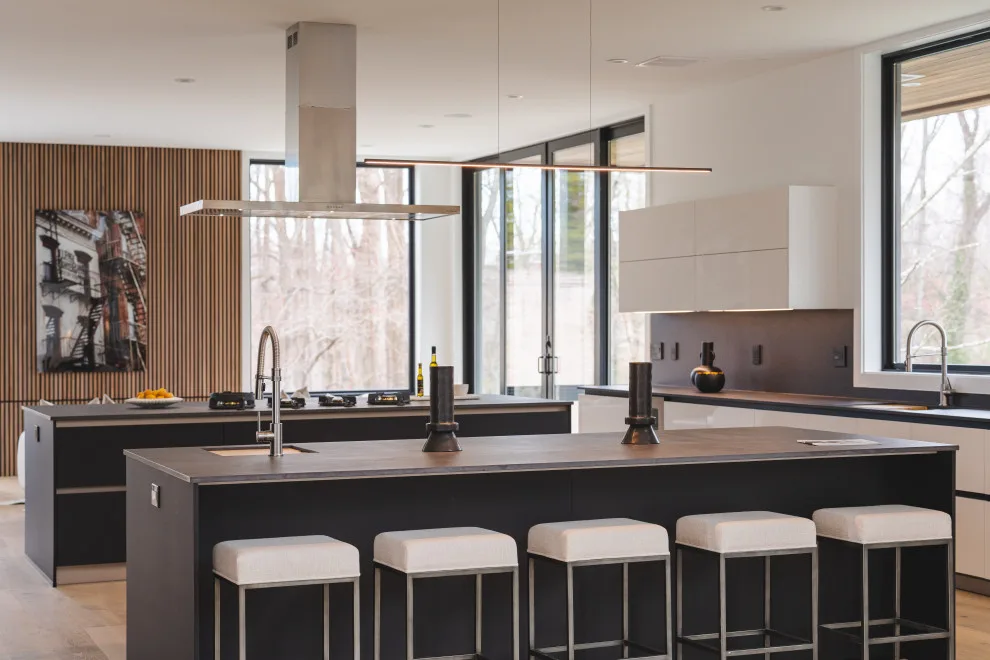 Modern Monochrome Kitchen in McLean VA by UCS Kitchen Design - Photo 16