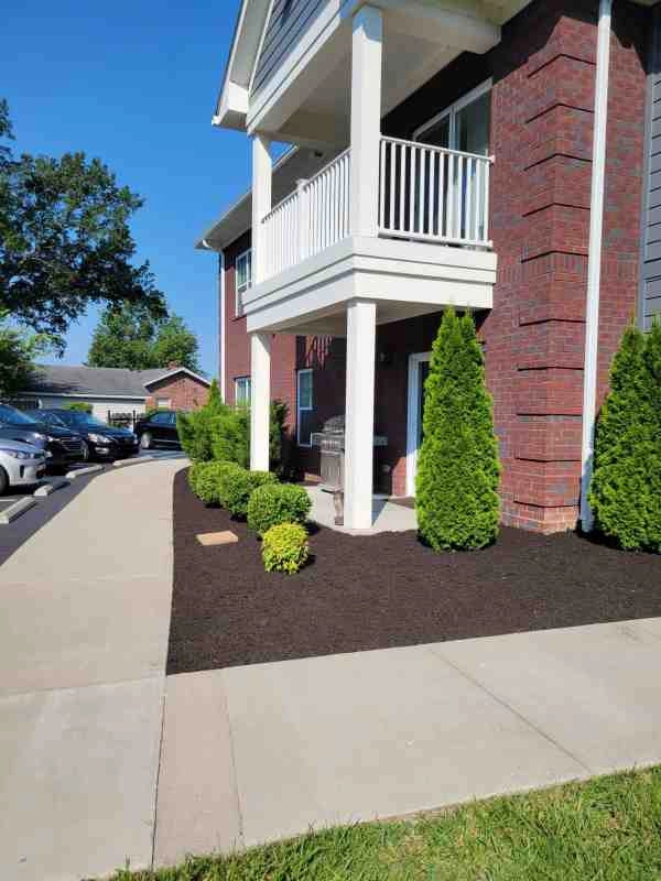 Alberto Alavez Professional Lawn Services LLC 3 by Alberto Alavez Professional Lawn Services LLC - Photo 80