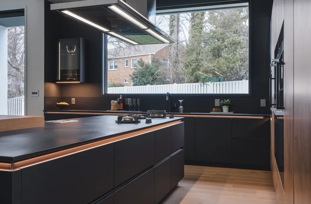 Modern Kitchen Design in Arlington VA by UCS Kitchen Design - Photo 5