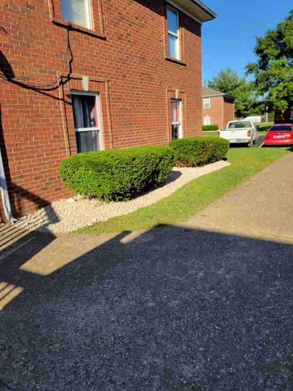 Alberto Alavez Professional Lawn Services LLC 3 by Alberto Alavez Professional Lawn Services LLC - Photo 9