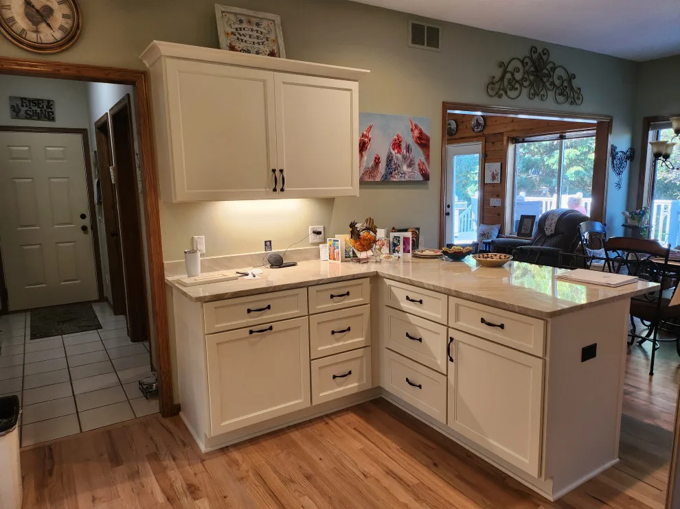 Modern Kitchen and Pantry Facelift in Eggshell by Kitchen Solvers Of Madison - Photo 5