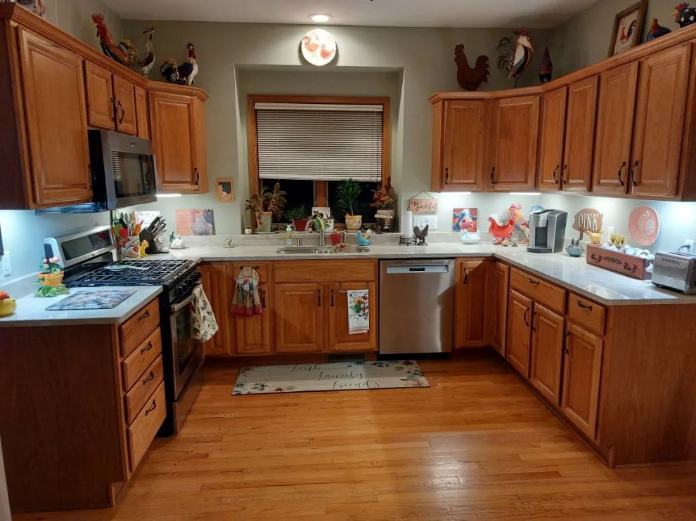 Modern Kitchen and Pantry Facelift in Eggshell by Kitchen Solvers Of Madison - Photo 8