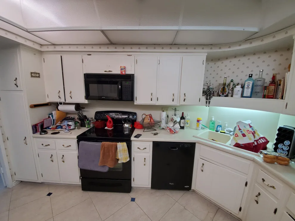 Modern Kitchen Renovation in Pearl Finish by Kitchen Solvers Of Fort Lauderdale - Photo 7