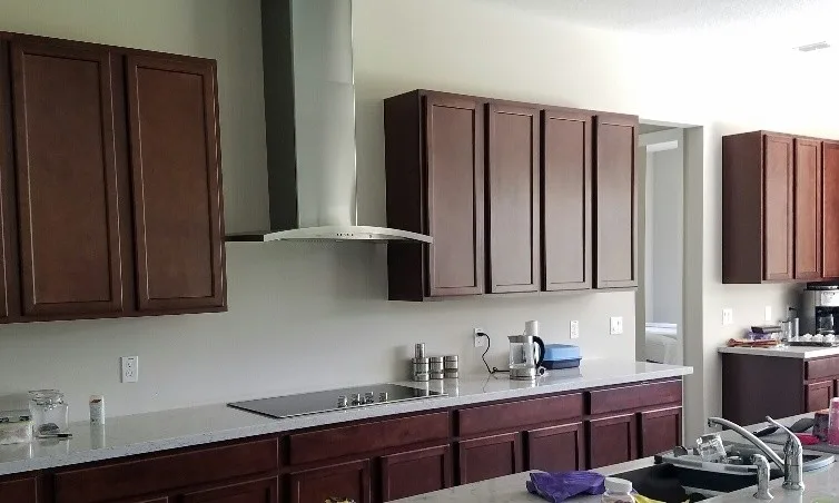 Modern Kitchen Renovation in Reflective White Finish by Kitchen Solvers Of Orlando - Photo 3
