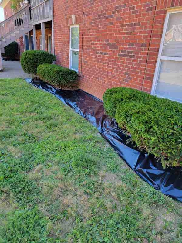 Alberto Alavez Professional Lawn Services LLC 3 by Alberto Alavez Professional Lawn Services LLC - Photo 86