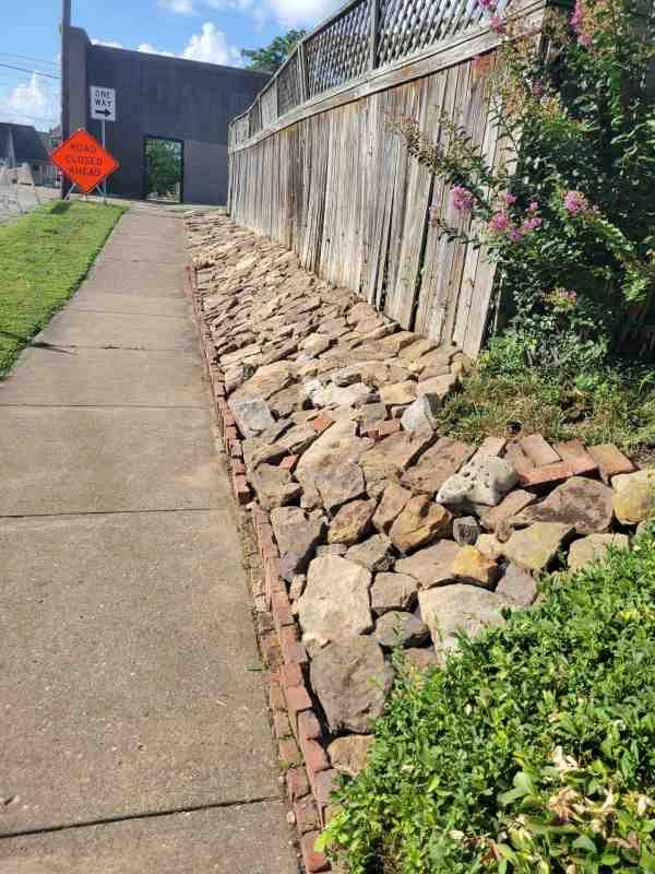 Alberto Alavez Professional Lawn Services LLC 3 by Alberto Alavez Professional Lawn Services LLC - Photo 26