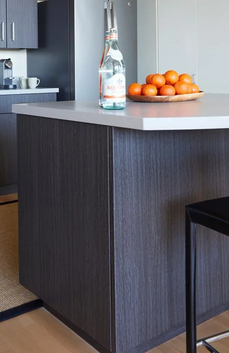 Modern Kitchen Renovation by Boss Design Center - Photo 5