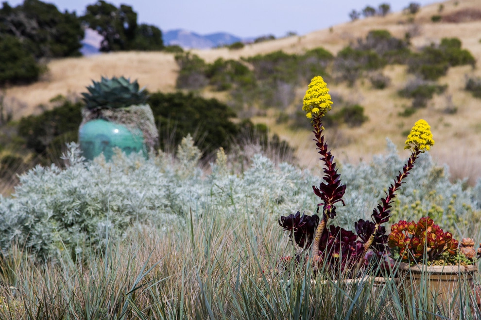 Spanish Revival over Seven Sisters by Jeffrey Gordon Smith Landscape Architecture - Photo 48