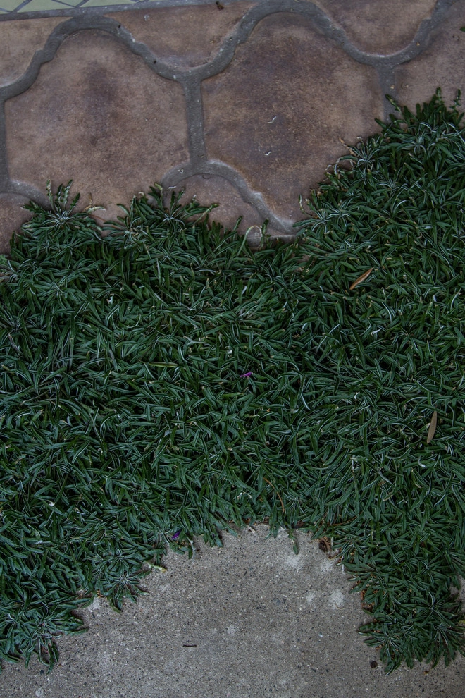 Spanish Revival over Seven Sisters by Jeffrey Gordon Smith Landscape Architecture - Photo 103