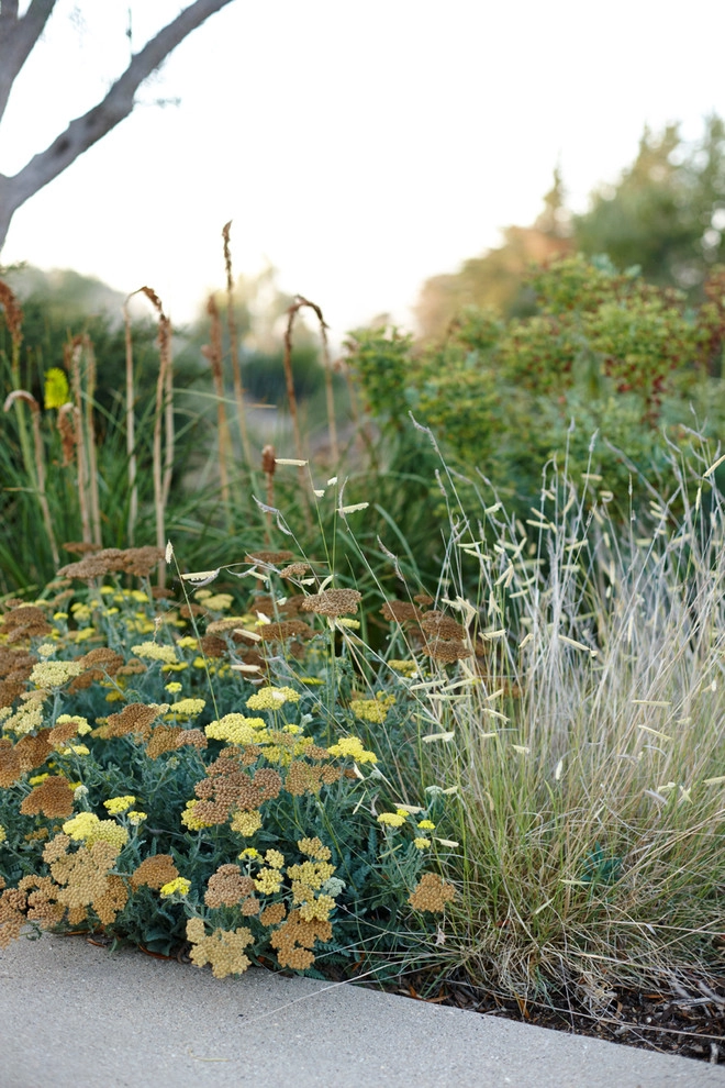 Spanish Revival over Seven Sisters by Jeffrey Gordon Smith Landscape Architecture - Photo 59