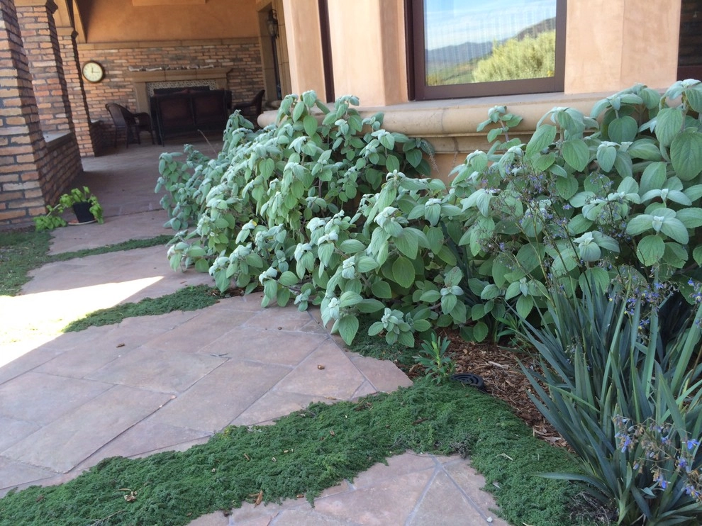 Spanish Revival over Seven Sisters by Jeffrey Gordon Smith Landscape Architecture - Photo 87