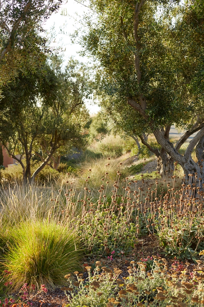 Spanish Revival over Seven Sisters by Jeffrey Gordon Smith Landscape Architecture - Photo 73