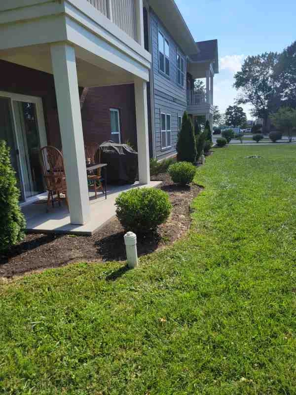 Alberto Alavez Professional Lawn Services LLC 3 by Alberto Alavez Professional Lawn Services LLC - Photo 51