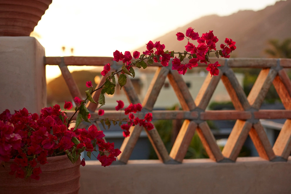 Beach Mediterranean by Jeffrey Gordon Smith Landscape Architecture - Photo 14