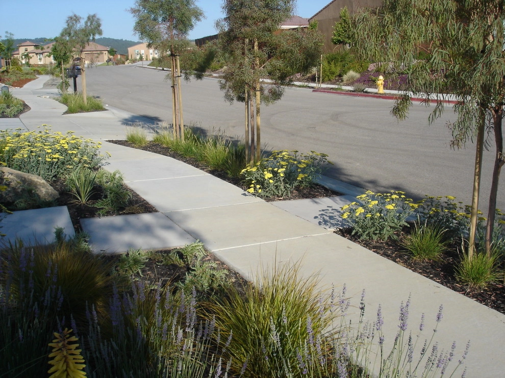 Spice Hunter by Jeffrey Gordon Smith Landscape Architecture - Photo 5