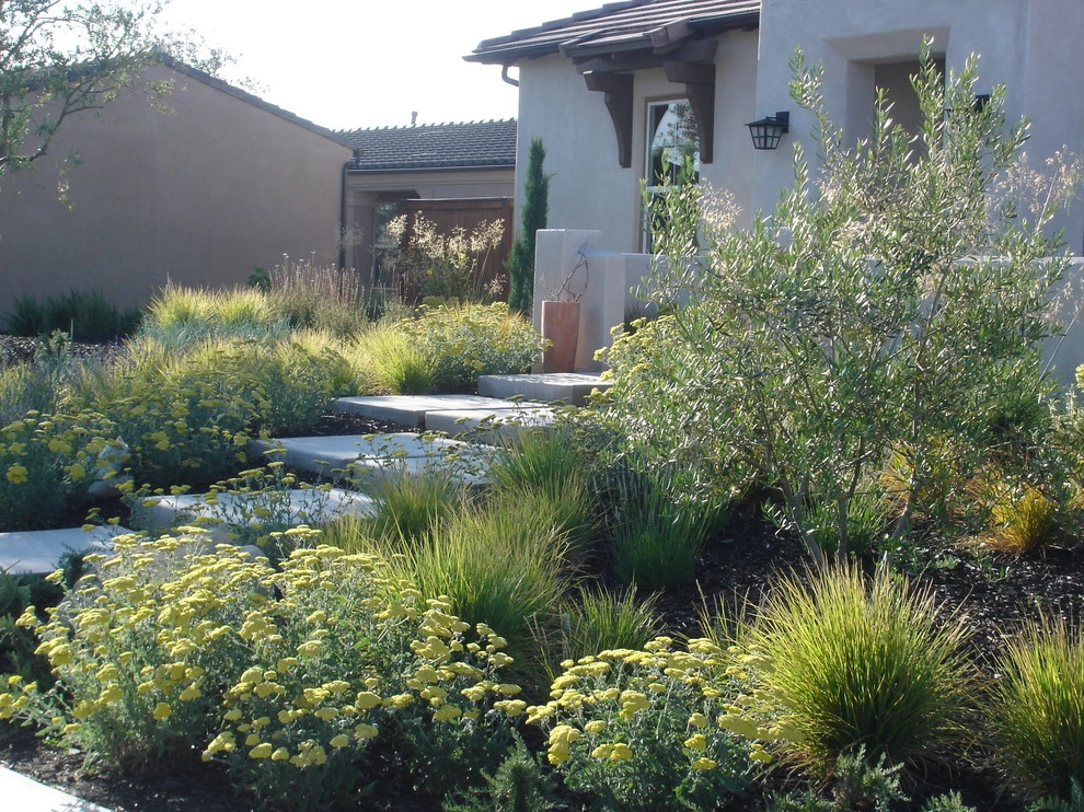 Spice Hunter by Jeffrey Gordon Smith Landscape Architecture - Photo 2