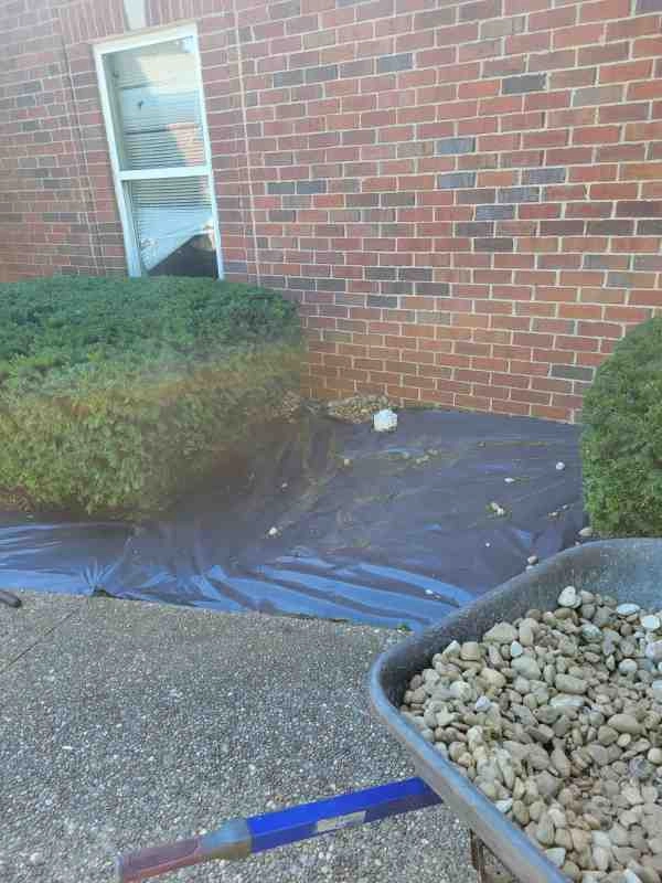 Alberto Alavez Professional Lawn Services LLC 3 by Alberto Alavez Professional Lawn Services LLC - Photo 72