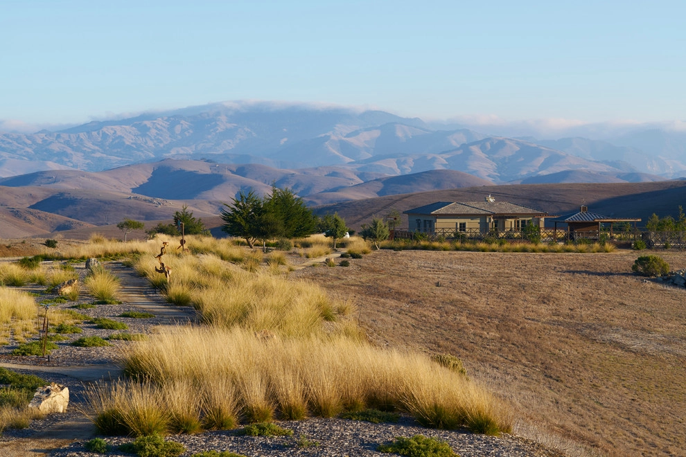 Harmony Ranch by Jeffrey Gordon Smith Landscape Architecture - Photo 4