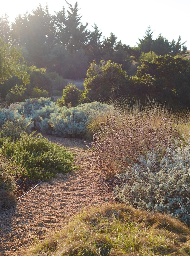 Spanish Revival over Seven Sisters by Jeffrey Gordon Smith Landscape Architecture - Photo 76