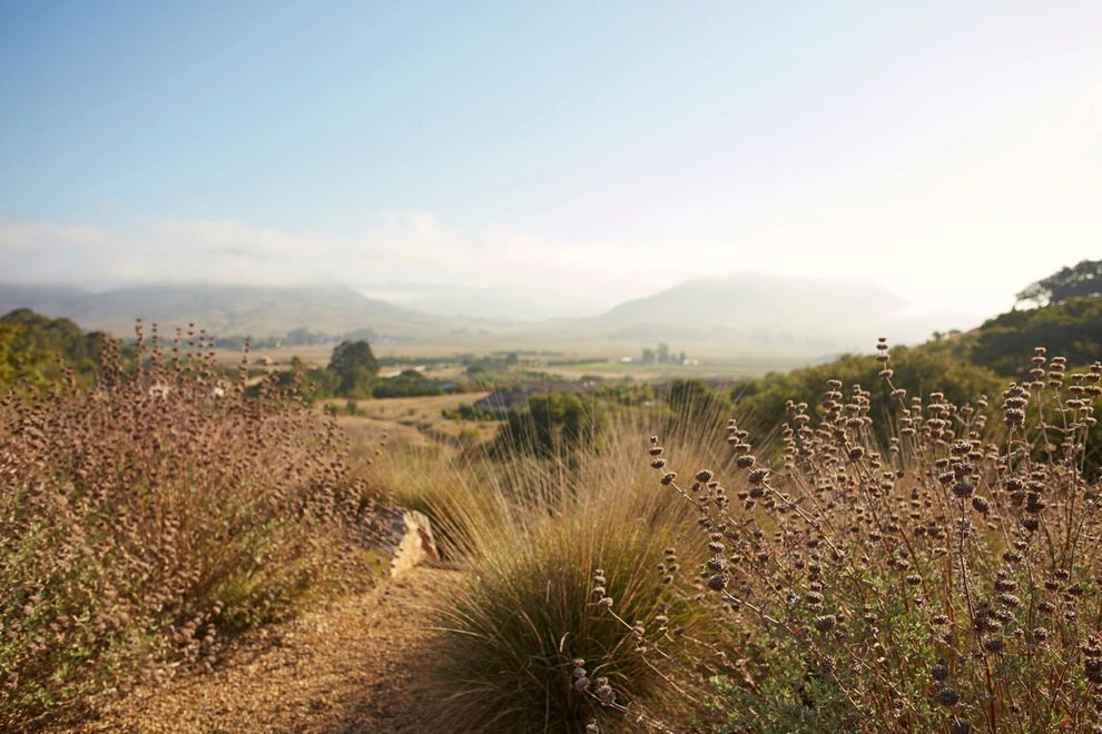 Spanish Revival over Seven Sisters by Jeffrey Gordon Smith Landscape Architecture - Photo 31