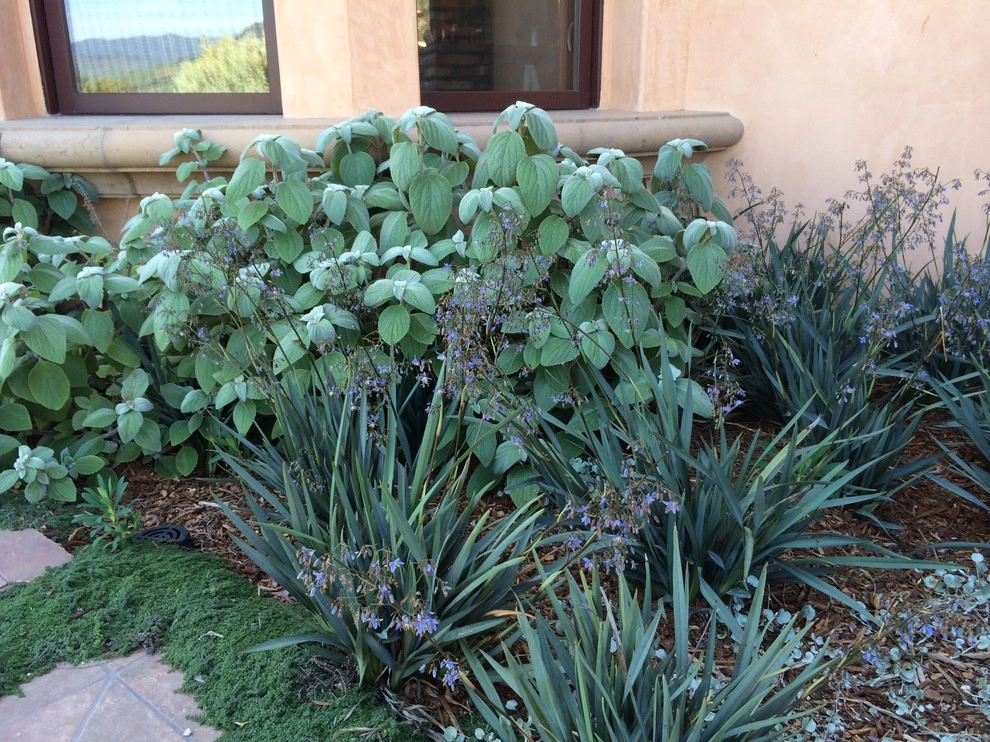 Spanish Revival over Seven Sisters by Jeffrey Gordon Smith Landscape Architecture - Photo 37