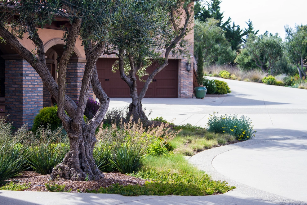 Jeffrey Gordon Smith Landscape Architecture - Photo 8