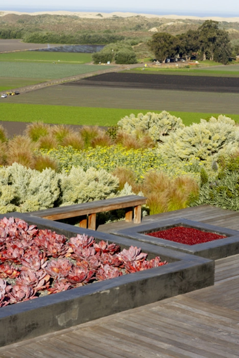 Fire Pits by Jeffrey Gordon Smith Landscape Architecture - Photo 19