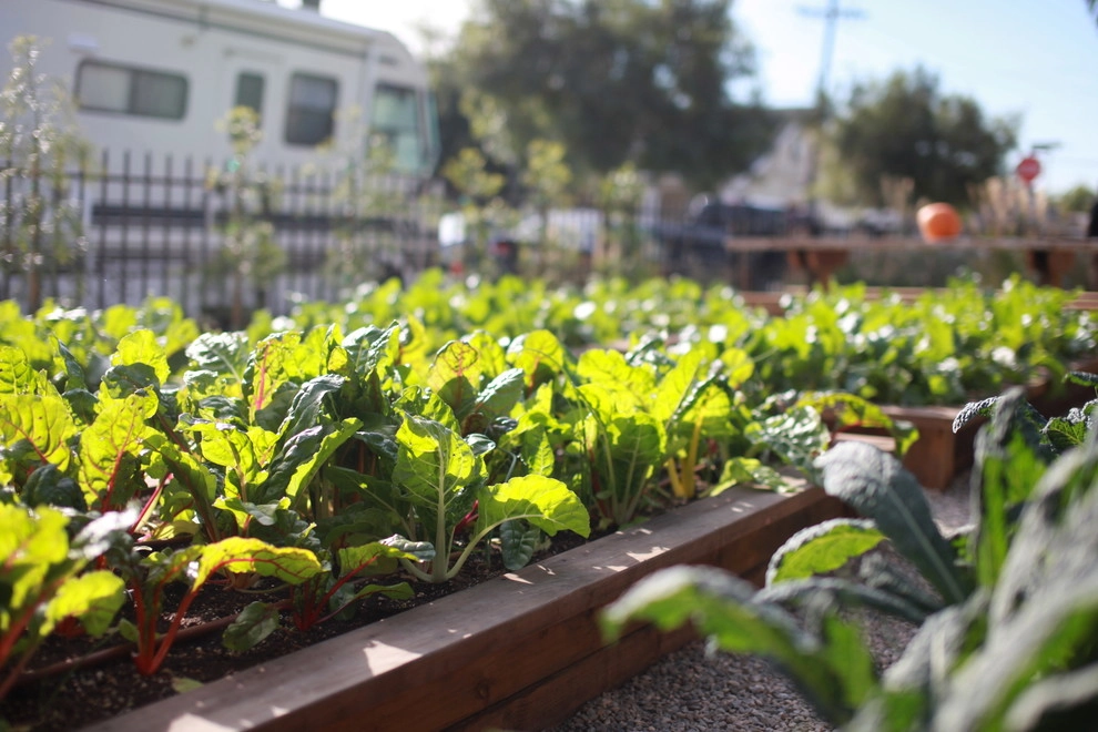 Leighton Ave Urban Farm by Alma Backyard Farms - Photo 40