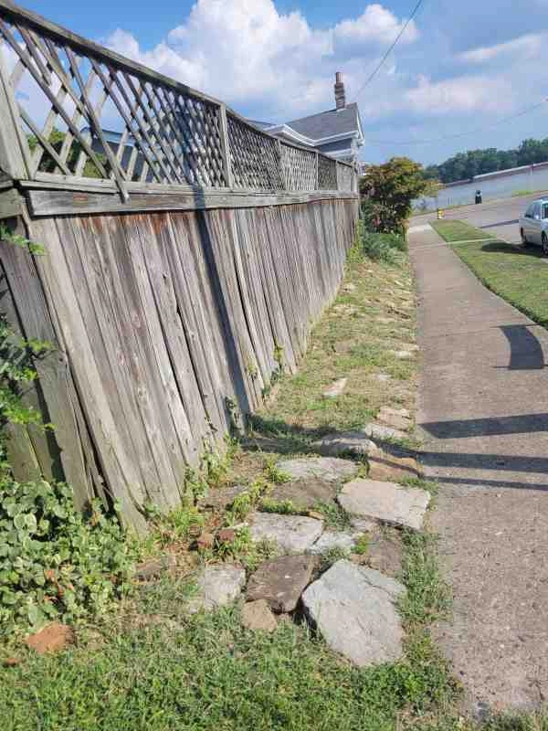 Alberto Alavez Professional Lawn Services LLC 3 by Alberto Alavez Professional Lawn Services LLC - Photo 14