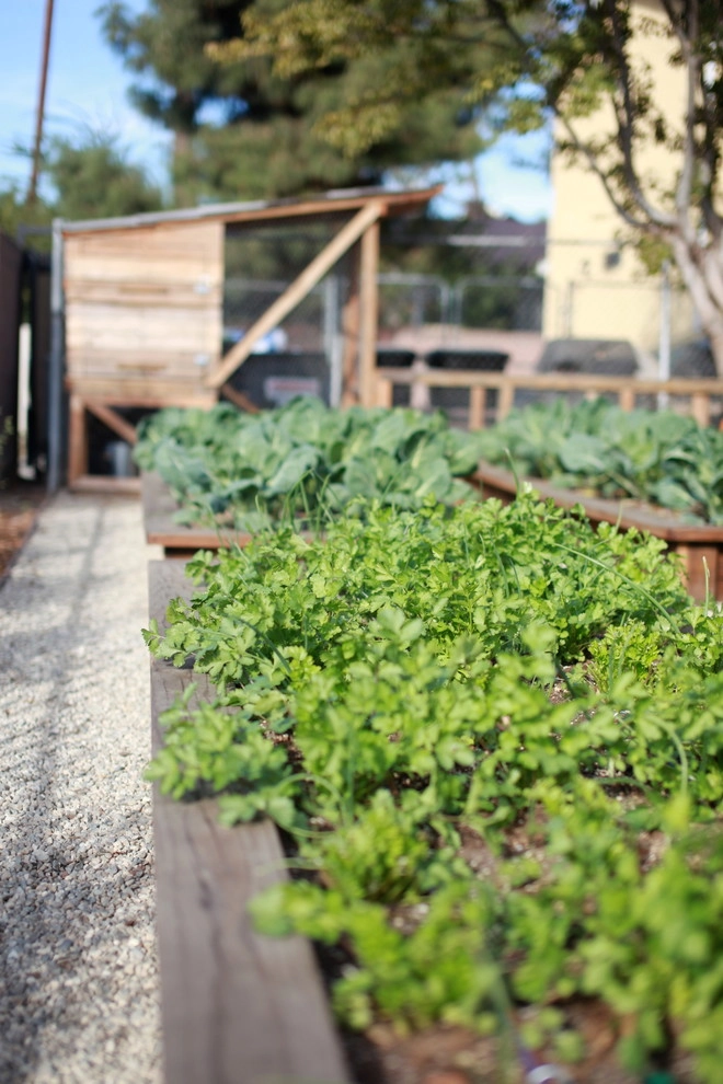 Leighton Ave Urban Farm by Alma Backyard Farms - Photo 39