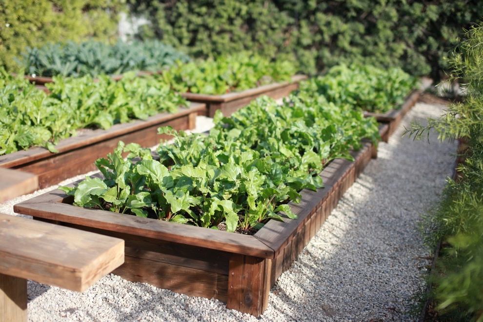 Leighton Ave Urban Farm by Alma Backyard Farms - Photo 22