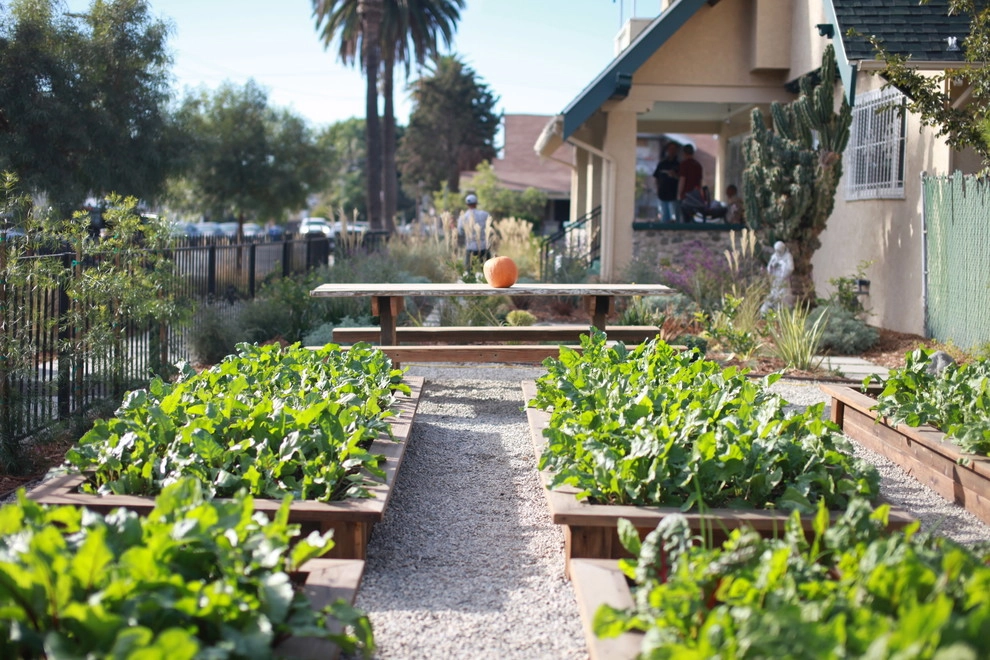 Leighton Ave Urban Farm by Alma Backyard Farms - Photo 37