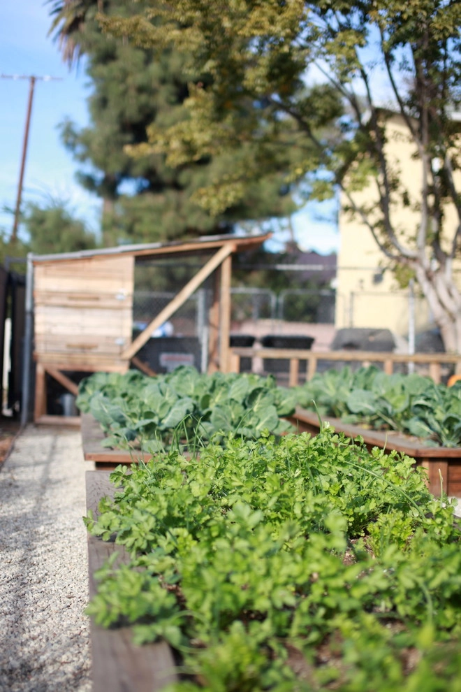 Alma Backyard Farms - Photo 12