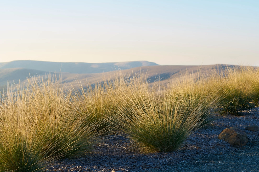 Harmony Ranch by Jeffrey Gordon Smith Landscape Architecture - Photo 31