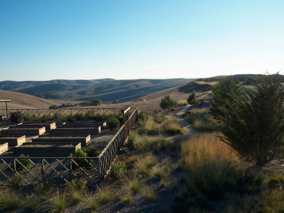 Harmony Ranch by Jeffrey Gordon Smith Landscape Architecture - Photo 11