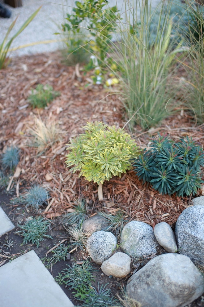Alma Backyard Farms - Photo 13