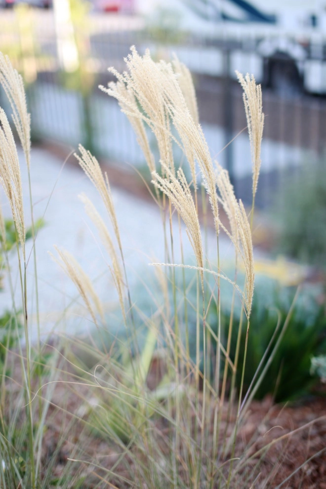 Alma Backyard Farms - Photo 4