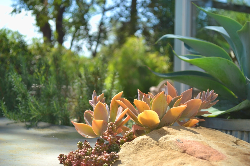 Santa Barbara Modern Ranch by Jeffrey Gordon Smith Landscape Architecture - Photo 58
