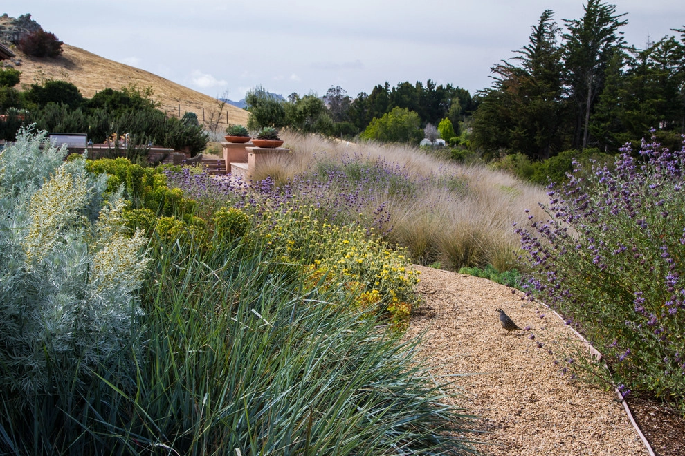 Spanish Revival over Seven Sisters by Jeffrey Gordon Smith Landscape Architecture - Photo 74