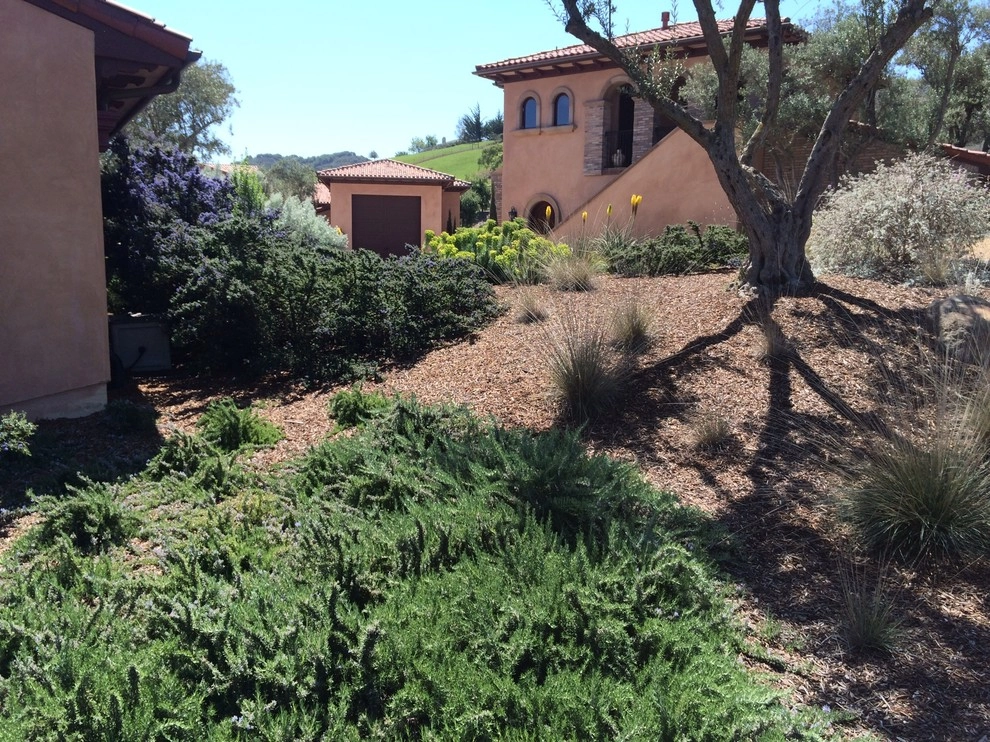 Spanish Revival over Seven Sisters by Jeffrey Gordon Smith Landscape Architecture - Photo 33