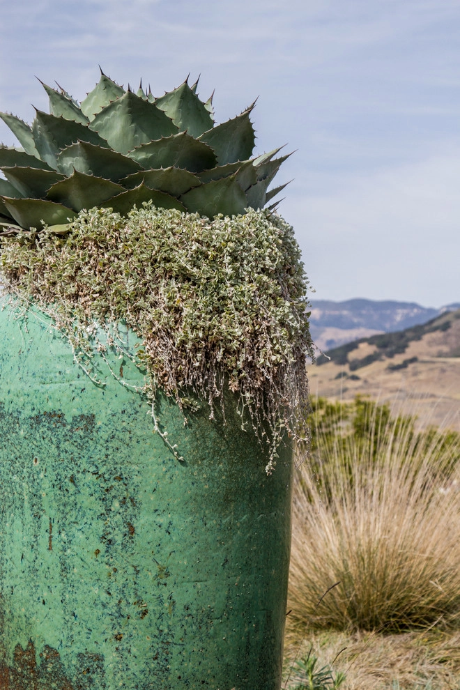 Spanish Revival over Seven Sisters by Jeffrey Gordon Smith Landscape Architecture - Photo 3