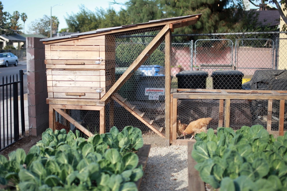 Leighton Ave Urban Farm by Alma Backyard Farms - Photo 20