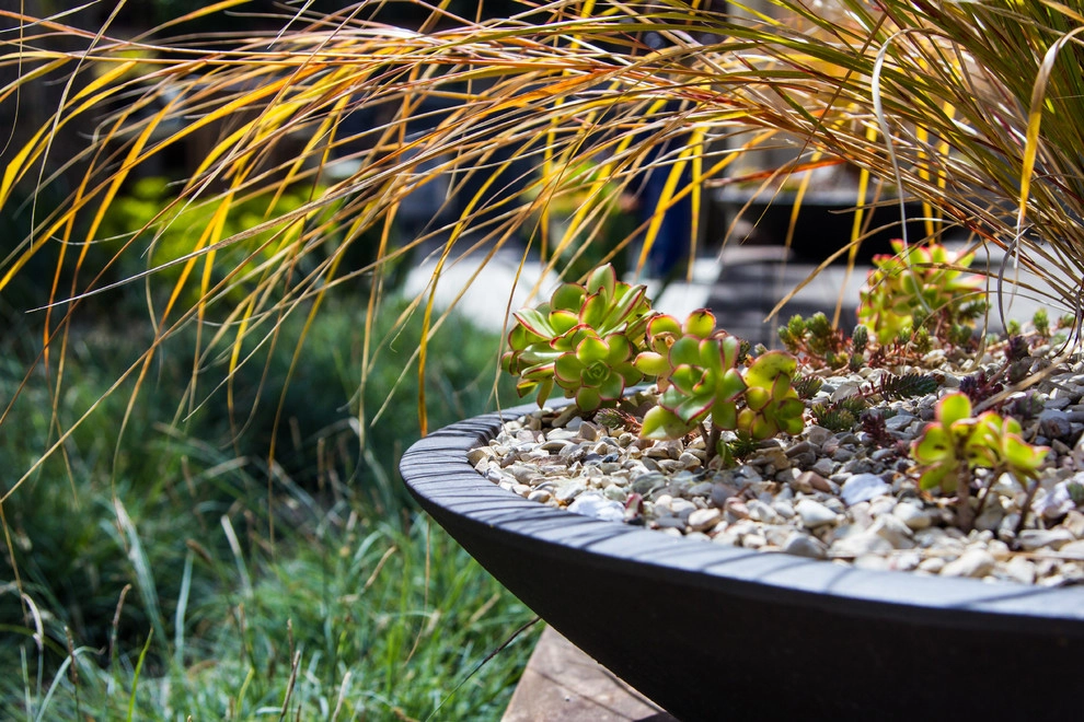 Eclectic Courtyard Connection by Jeffrey Gordon Smith Landscape Architecture - Photo 10
