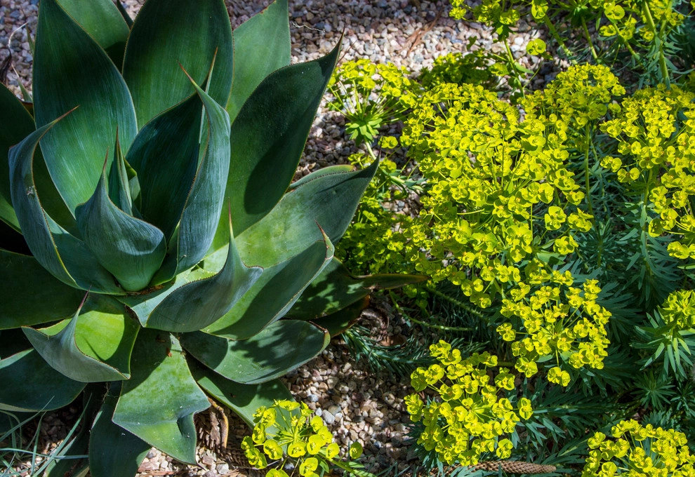 Eclectic Courtyard Connection by Jeffrey Gordon Smith Landscape Architecture - Photo 15